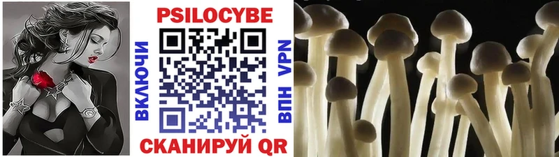 Галлюциногенные грибы мухоморы  Ахтырский 